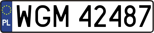 WGM42487