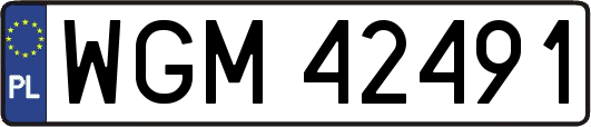 WGM42491