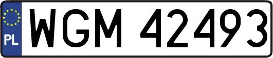 WGM42493