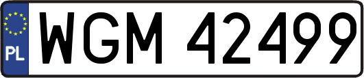 WGM42499