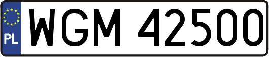 WGM42500