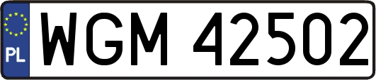 WGM42502