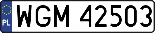 WGM42503