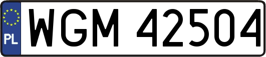 WGM42504
