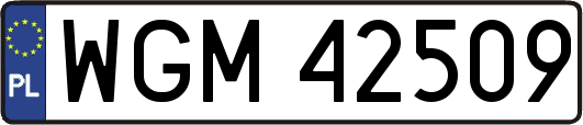 WGM42509