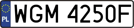WGM4250F