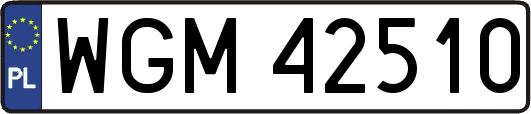 WGM42510