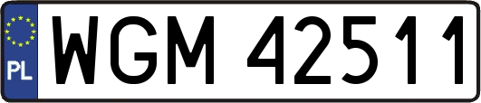 WGM42511