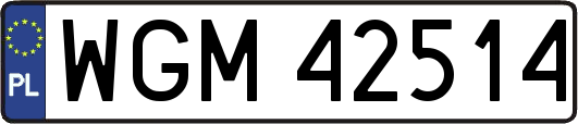 WGM42514