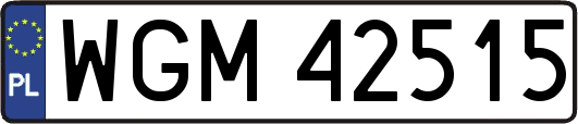 WGM42515