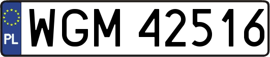 WGM42516
