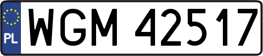 WGM42517