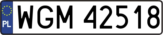 WGM42518