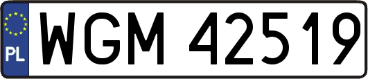 WGM42519