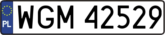 WGM42529