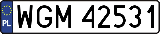 WGM42531