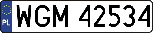 WGM42534