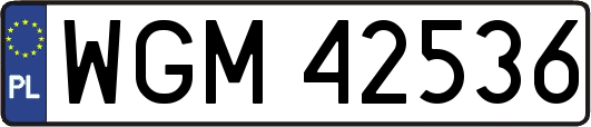 WGM42536