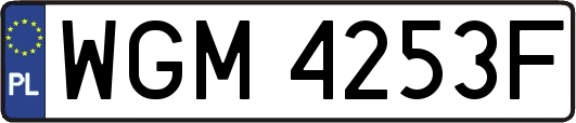 WGM4253F