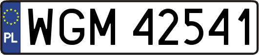 WGM42541