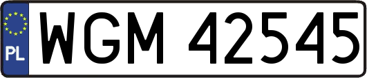 WGM42545