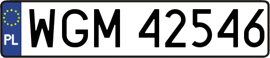 WGM42546