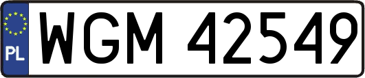 WGM42549