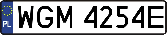 WGM4254E