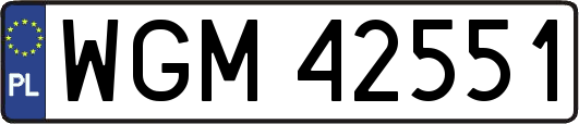WGM42551