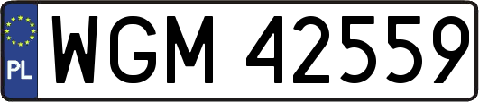 WGM42559