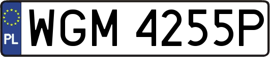 WGM4255P