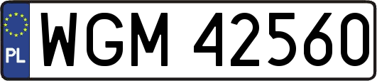 WGM42560