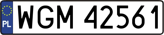 WGM42561