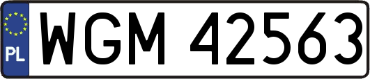 WGM42563
