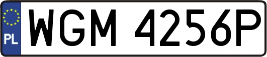 WGM4256P