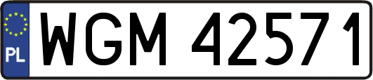WGM42571