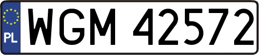 WGM42572
