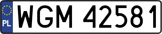WGM42581
