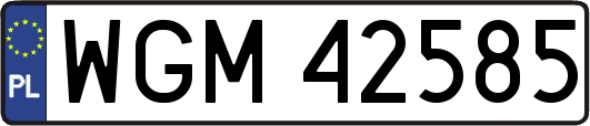 WGM42585