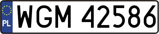 WGM42586