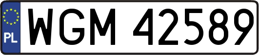 WGM42589