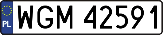 WGM42591