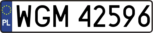 WGM42596