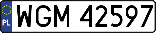 WGM42597