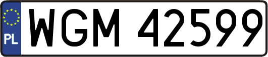 WGM42599