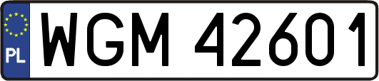 WGM42601