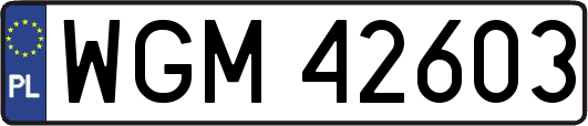 WGM42603