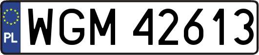 WGM42613