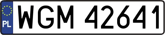 WGM42641