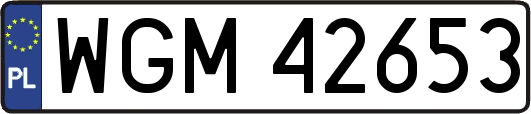 WGM42653